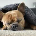 Le sommeil est un facteur important pour lutter contre les douleurs chroniques